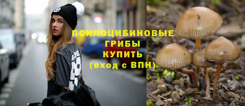 наркотики  Калуга  Псилоцибиновые грибы Magic Shrooms 